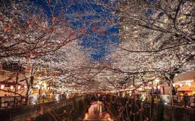 Sakuranomiya Hotel โอซาก้า ภายนอก รูปภาพ